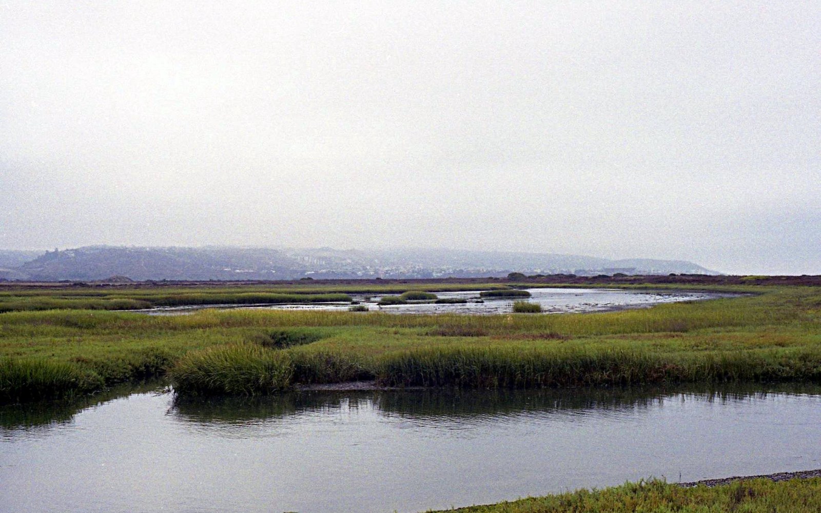 Wetland marsh grasses surround still water channels beneath a hazy coastal hillside