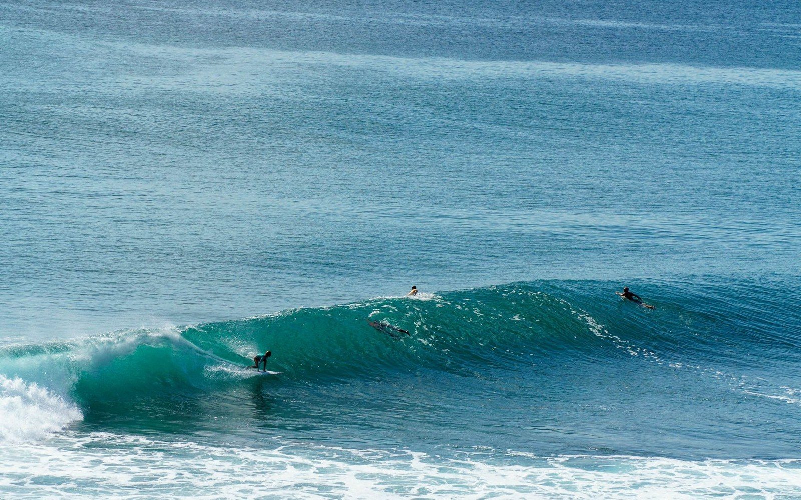 A swell line approaching Swami's reef photographed from the bluff above, late-afternoon light